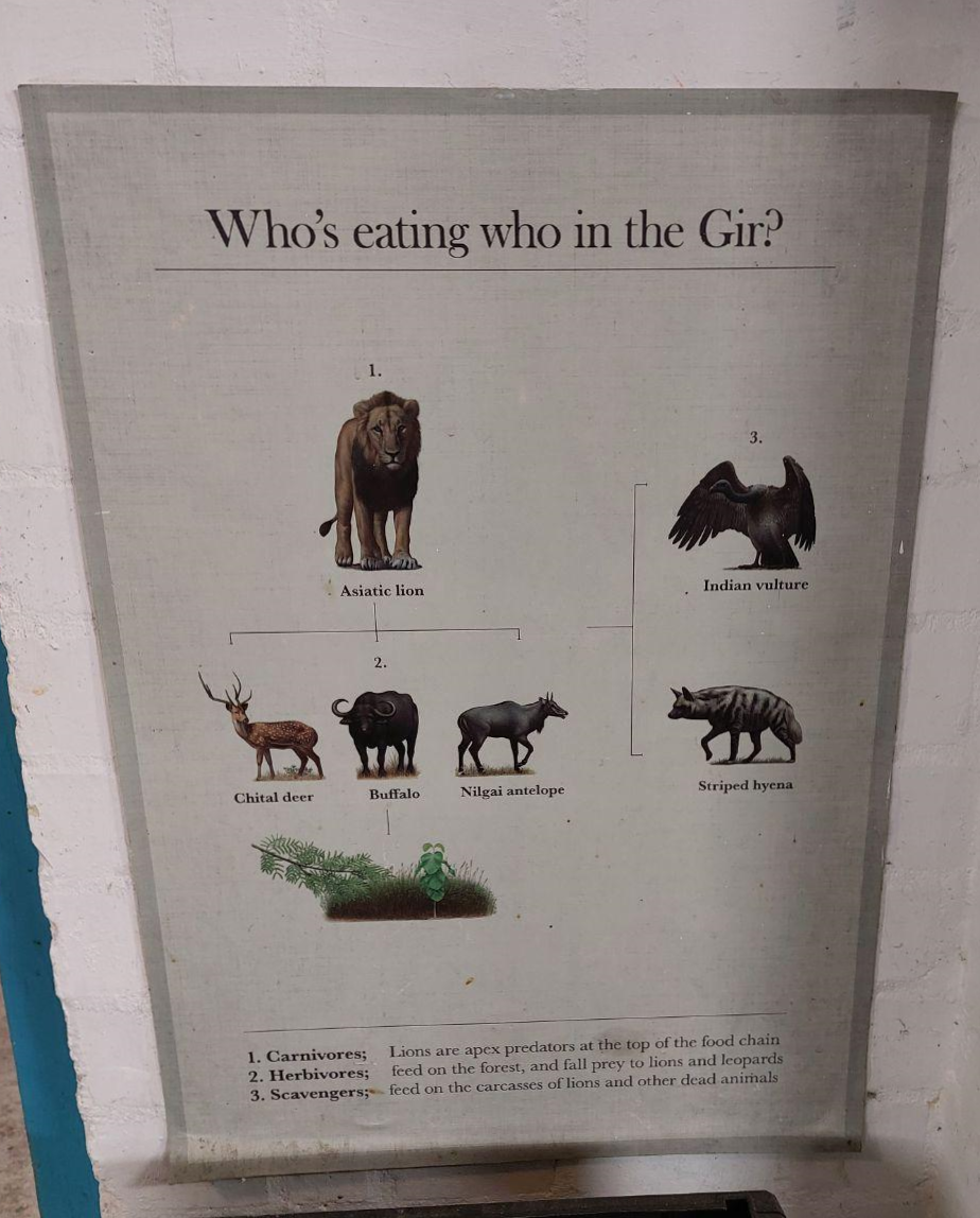 image with a sign with animals and the text: who's eating the Gir?