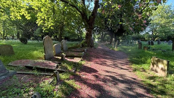 Tottenham Cemetery Pic 1