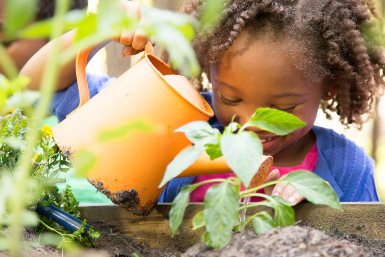Stock image of nature and children