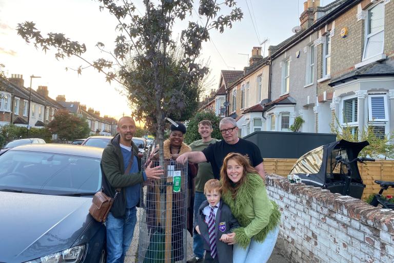Trees - Seaford Road 2
