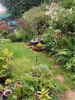 Haringey in Bloom 2023 - back garden, picture 2