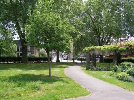 Barratt gardens and wood green common