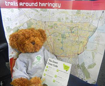 Walking Bear with Map and green cross code