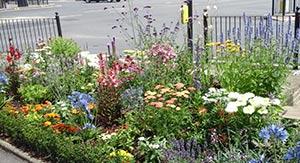 Bounds Green flower bed