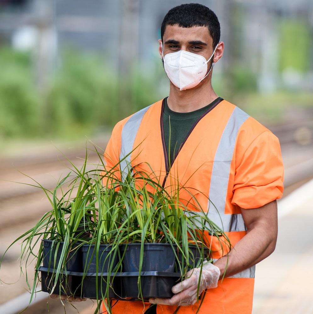 A horticultural trainee tends to the planters on Platforms 3 & 4 at Alexandra Palace railway station