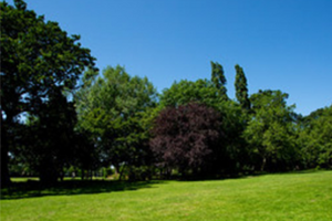 Archive pic of Haringey park on a sunny day