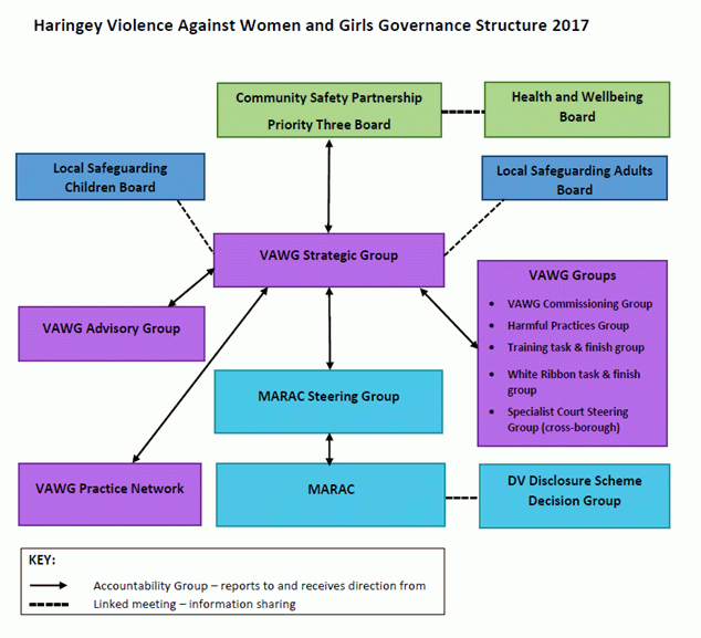 violence against women and girls governance structure 2017